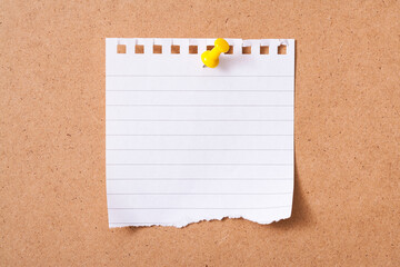 Colorful memo pads on the cork board
