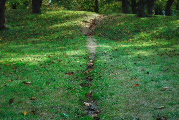 落ち葉　小道　素材