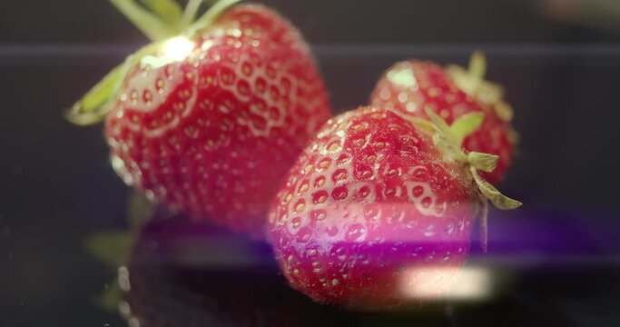 Macro view of red strawberries on dark background.Fresh and juicy berries to eat as dessert, snack, healthy eating concept, nutritious raw food,best for smoothie. Food blogging, advertising, packshot