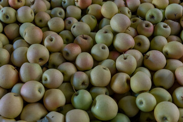 Golden Delicious apples for sale, California crop, background or backdrop, food