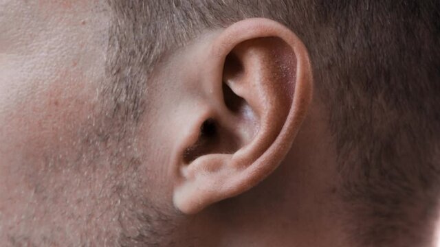 Detail shot of a caucasian young man's left ear centered in the frame