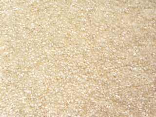 White color raw whole Idli parboiled rice