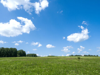 Obraz premium Green meadows and fields. White clouds in the blue sky. Summer sunny day