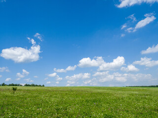 Green meadows and fields. White clouds in the blue sky. Summer sunny day