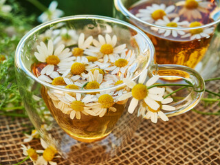Two glass cups of tea with chamomile, on a piece of burlap, on a natural green background,
