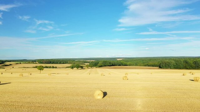 Un paysage en pleine nature montrant la campagne avec ses champs de bl&eacute; et ses bottes de paille apr&egrave;s la moisson et une for&ecirc;t en arri&egrave;re plan dans la Ni&egrave;vre, en Bourgogne, en France, en &eacute;t&eacute;.