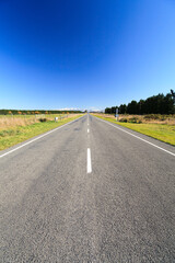 Country road in New Zealand.