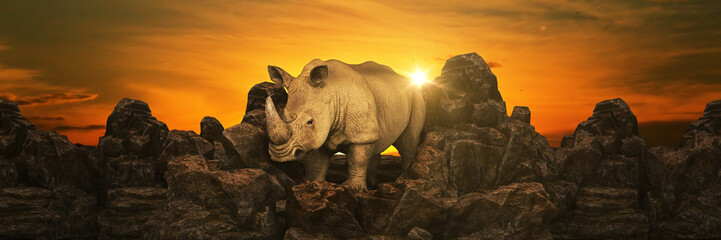 Fototapeta premium Rhino at sunset. 3d rendering 