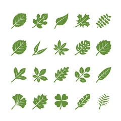 Set of Leaves Icons Glyph
