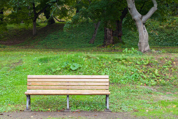 Fototapeta na wymiar Wooden bench in green park.