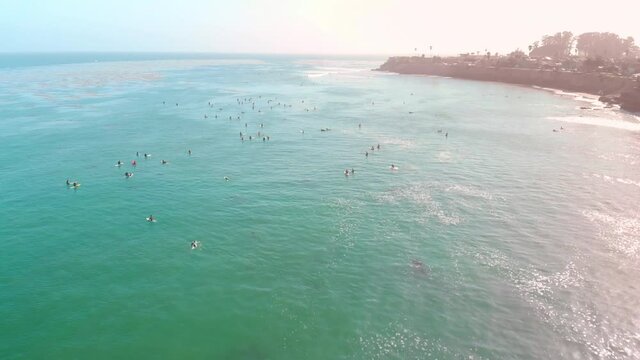 Flyover of Surfers Waiting for Waves Along Sunny Coast