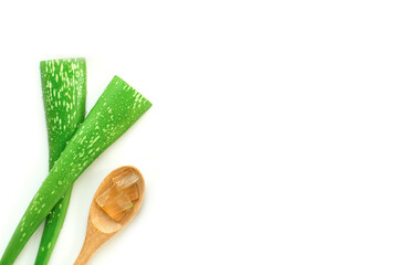 Closeup green fresh organic aloe vera leaf isolated on white