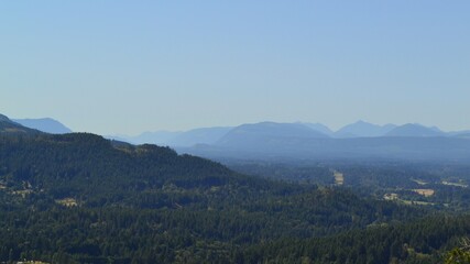 The forest beyond Cobble Hill on Vancouver Island