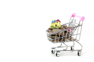 shopping cart full of coins with home model on white.