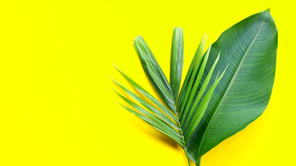 Fototapeta na wymiar Banana leaf with tropical palm leaf on yellow background.