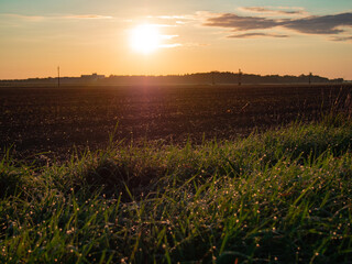 Plowed field in the rays of sunrise.