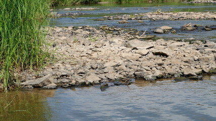 stony river in the forest