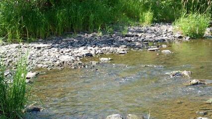 stones in the river