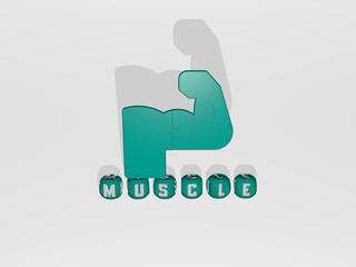 Fototapeta premium 3D graphical image of MUSCLE vertically along with text built by metallic cubic letters from the top perspective, excellent for the concept presentation and slideshows. illustration and body