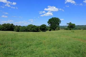 Fields and meadows around the Westerham Countryside