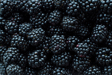 Blackberry fruit background. Summer mood
