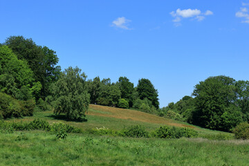 The hilly woodland landscape of the Westerham Countryside