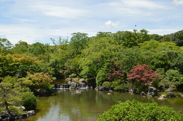Fototapeta na wymiar 夏の日本庭園 