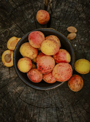 homemade apricots in pottery on hemp