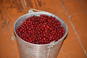 cherry bucket