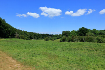 A view of the beautiful Westerham countryside