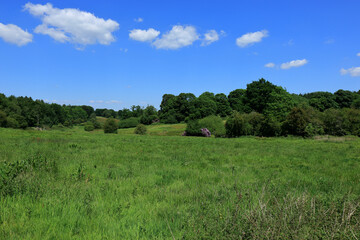 Fototapeta premium Green fields and blue skies around the Westerham countryside