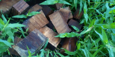 green grass in a wooden box