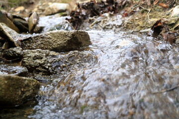 The image mountain stream with clean water.