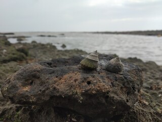 fishing net on the beach
