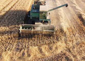 A combine harvester gathers grain in the field. Autumn harvest, wheat harvest.