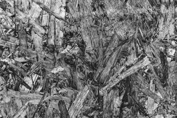 Black and white wooden texture abstract background