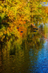 evening landscape with a lake at sunset