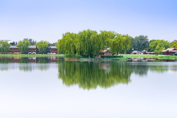 Fototapeta na wymiar Summer in Shichahai, Beijing, China. Beautiful Shichahai Lake Island and sparkling lake water