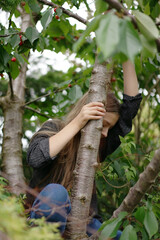 Naklejka na ściany i meble a girl on the tree collects ripe sweet cherry fruits