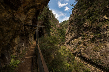 canyon in new zealand