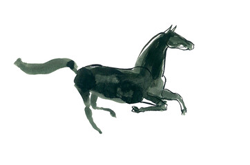 Watercolor sketch of the galloping horse.