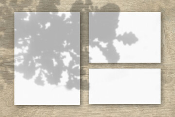 Several horizontal and vertical sheets of white textured paper on the wooden table background. Natural light casts shadows from the oak leaves. Flat lay, top view