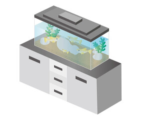 クールなメダカの水槽