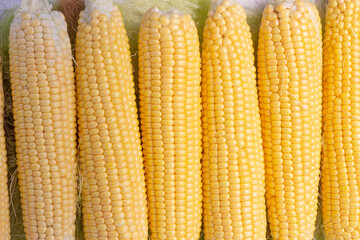 Fresh corn on the cob, close-up, stacked