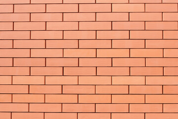 The background is a smooth brick wall made of smooth red bricks.