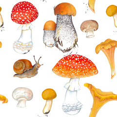 Watercolor autumn seamless pattern of mushrooms. Colorful background on white. 