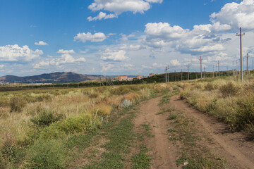 Fototapeta na wymiar Summer steppe landscape. Landscape in kazakhstan. Kazakh steppe. Blue sky. Yellow grass. Country road. Forest Steppe. Green trees. Power line