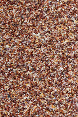 shell crushed background pattern composed of mollusks brown marine tropical vertical base