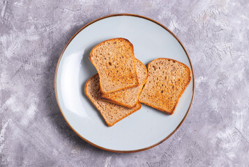 Crispy toasted toast bread in plate on gray background