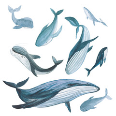 Whales. Set of watercolor whales on a white background.